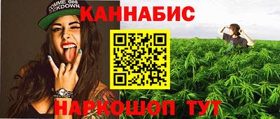 шишки Новокубанск