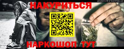 скорость Новозыбков