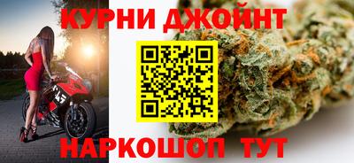 скорость Новозыбков