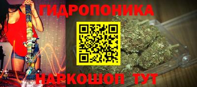 шишки Новокубанск